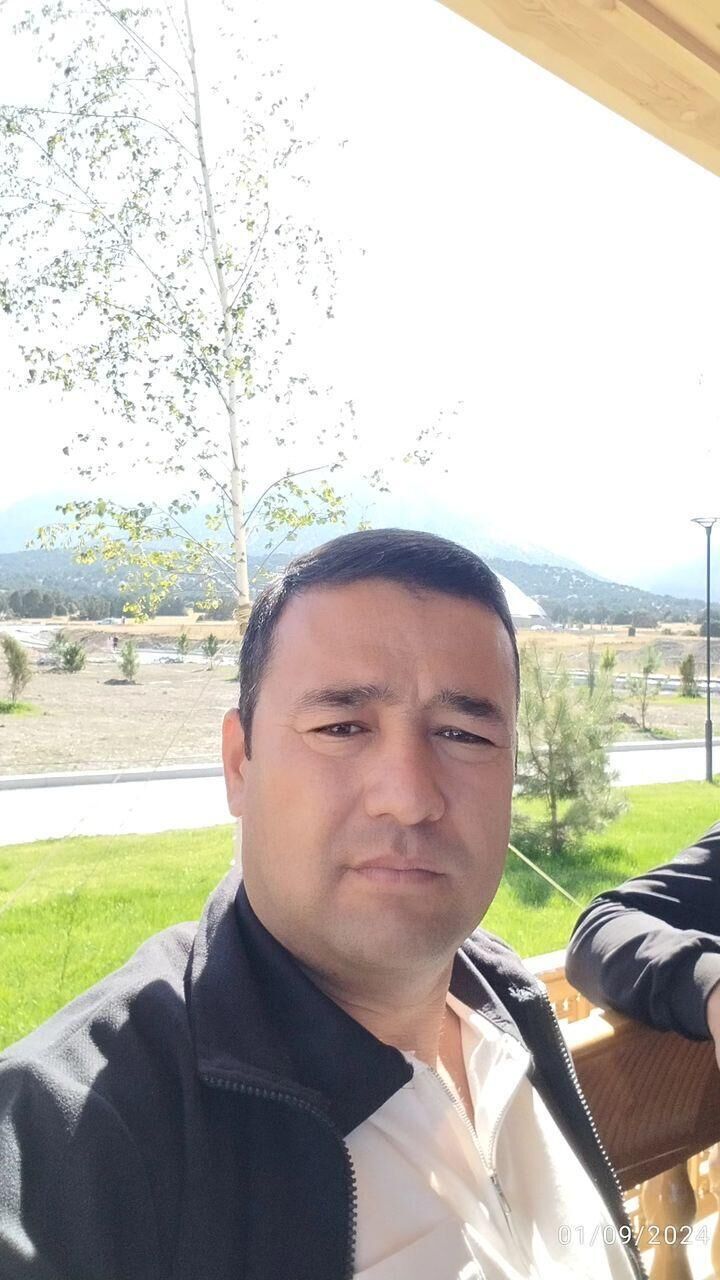  46266312  , 38 ,    