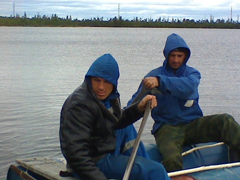  6603472  , 50 ,    -