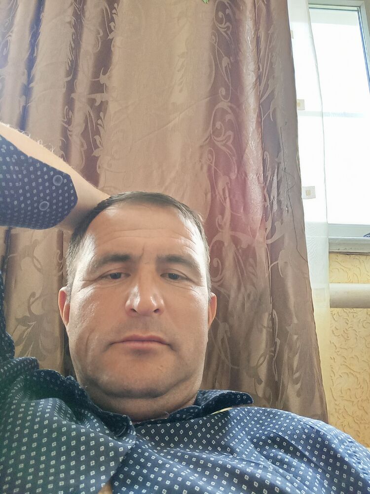  33981872  , 45 ,    