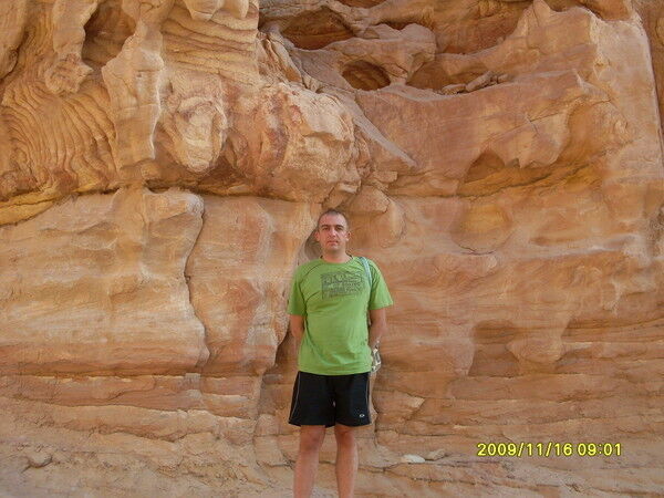 ���������� ������ ��������, ���� ������� PARDI2526, 51 ���, ������������ ��� ������, ����� � ���������, c�������� ���������