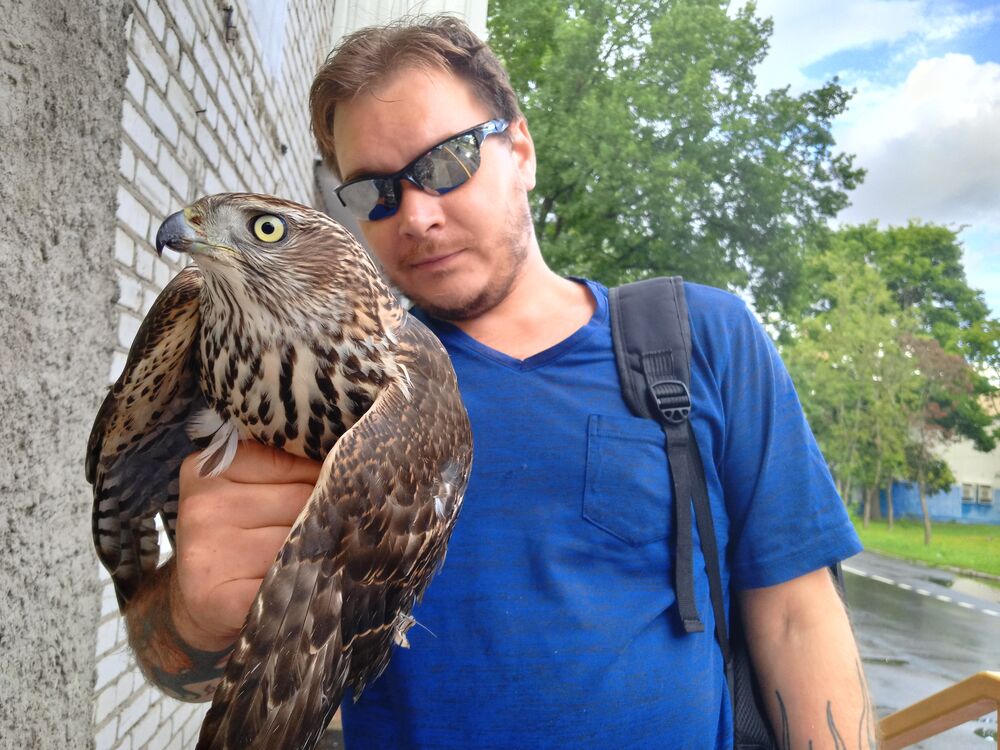 ���������� ������, ���� ������� �������, 34 ����, ������������ ��� ������, ����� � ���������