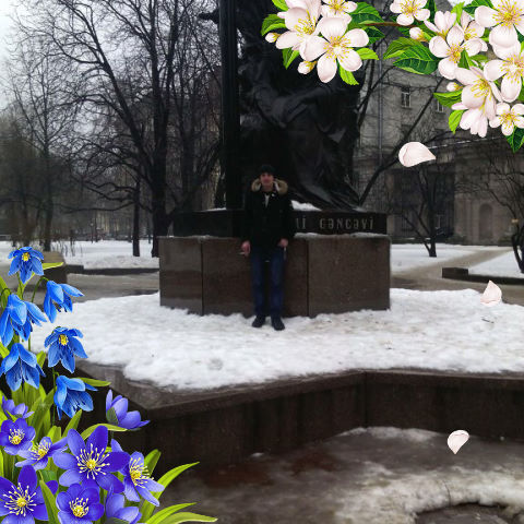  ,   , 38 ,   