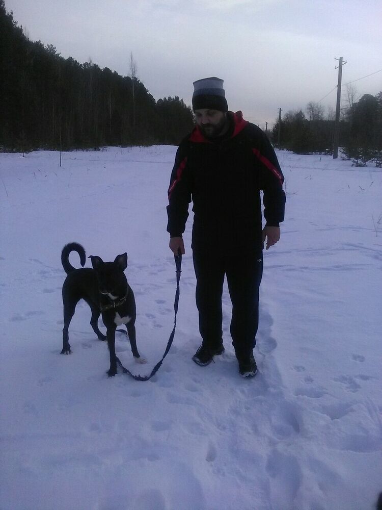 ���� 18897692 ������� �������, 43 ����, ���� ���������� � �����