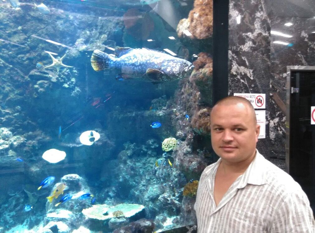 ���� 11508582 ������� ������, 43 ����, ���� ���������� � ������