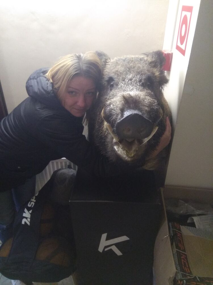 ���������� ������, ���� ������� �������, 44 ����, ������������ ��� ����� � ���������, c�������� ���������