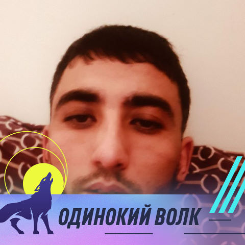 ���� 42880802 ������� ������, 33 ����, ���� ���������� � ������