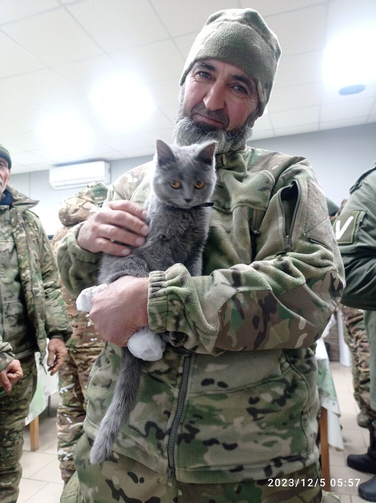 ���������� ���������, ���� ������� �������, 39 ���, ������������ ��� ������, ����� � ���������, c�������� ���������, ���������