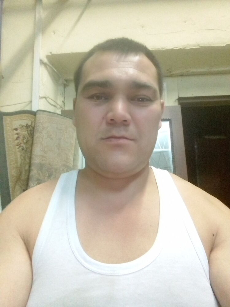  13448382  , 43 ,    