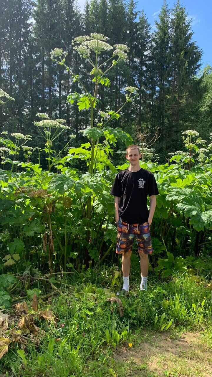 ���� 34266192 ����� Kera, 21 ���, ���� ���������� � �����-����������