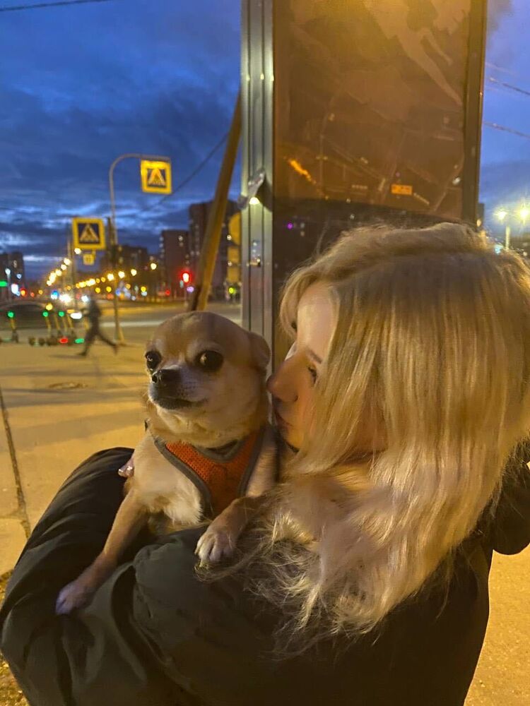  44047992  , 21 ,    -