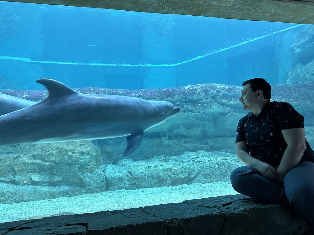  ,   Nodir, 34 ,   ,   , 