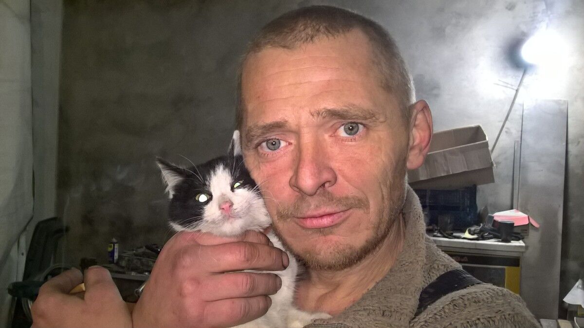  ,   , 51 ,   