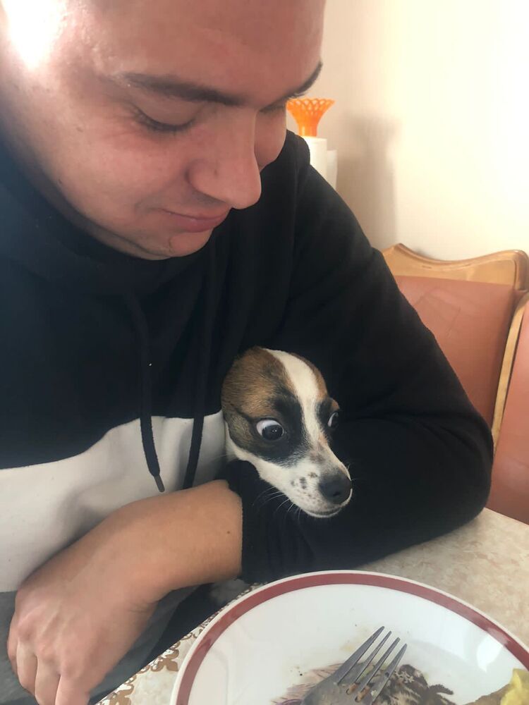 ���� 25955012 ������� Lenard, 40 ���, ���� ���������� � ������