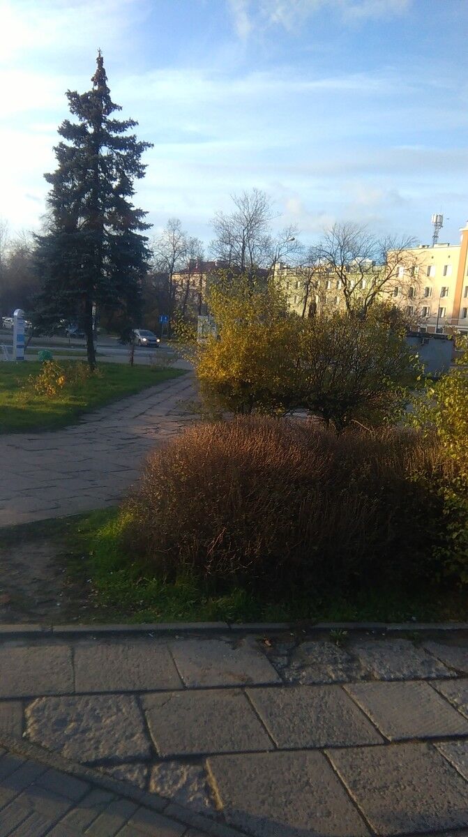 ���������� ����, ���� ������� ����, 37 ���, ������������ ��� ������, ����� � ���������, c�������� ���������