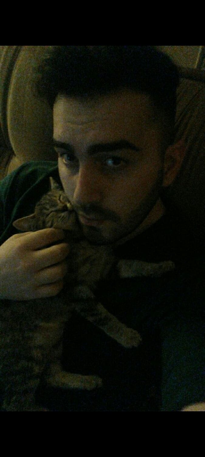 ���� 34568612 ������� Havi, 29 ���, ���� ���������� � �������