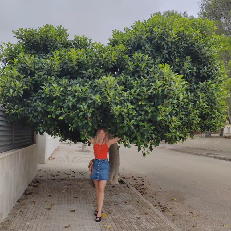 ���� 38777862 ������� ������, 39 ���, ���� ���������� � ������