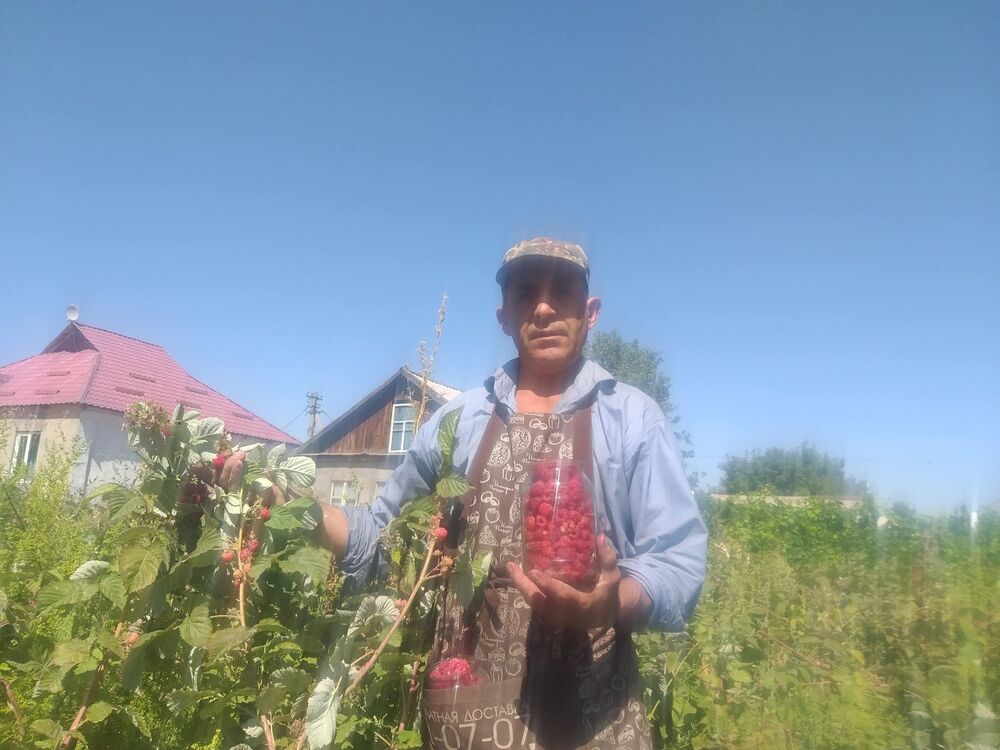 ���������� ������, ���� ������� ������, 52 ����, ������������ ��� c�������� ���������