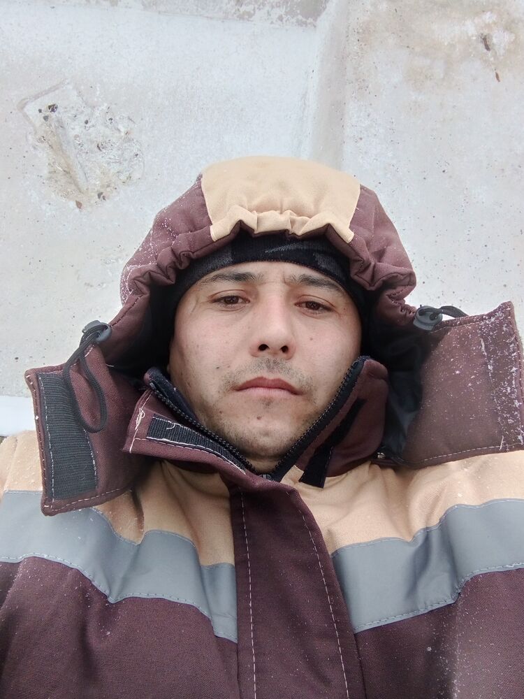  33386202  , 33 ,    