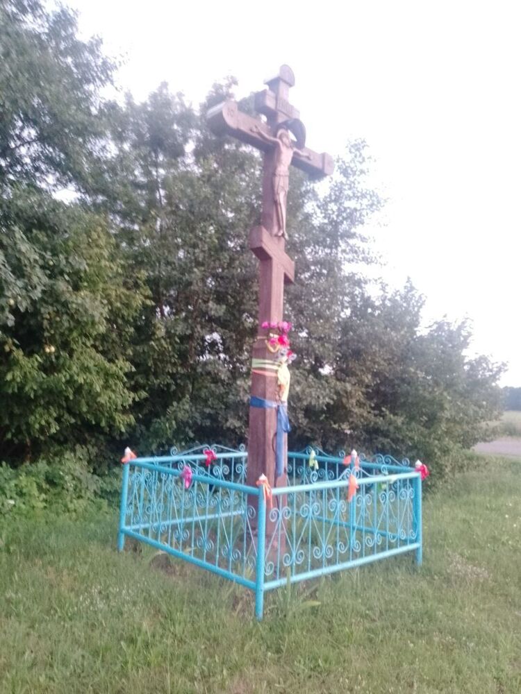  44702442  , 23 ,    