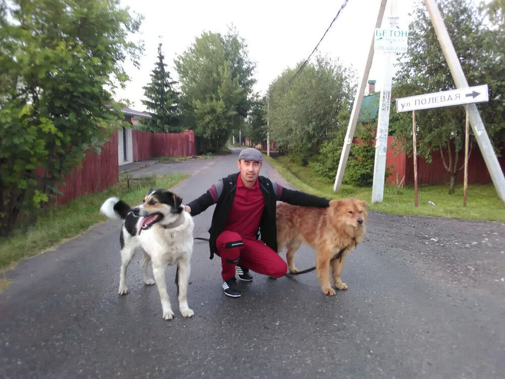 ���������� ������, ���� ������� Gadzhi, 38 ���, ������������ ��� ������, ����� � ���������