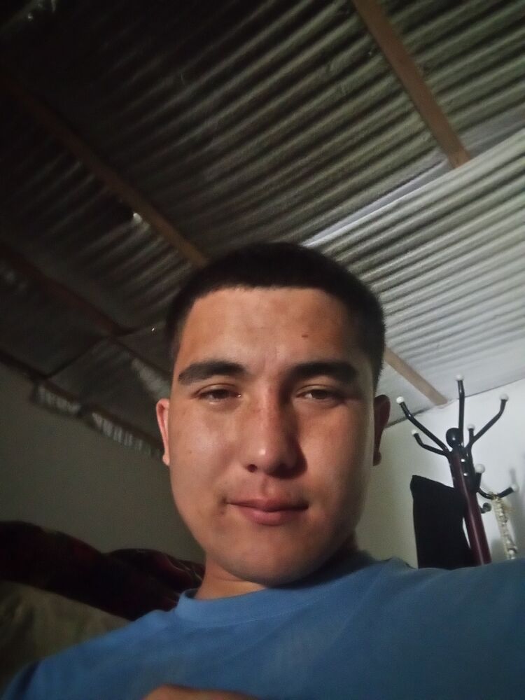  52114352  , 23 ,    