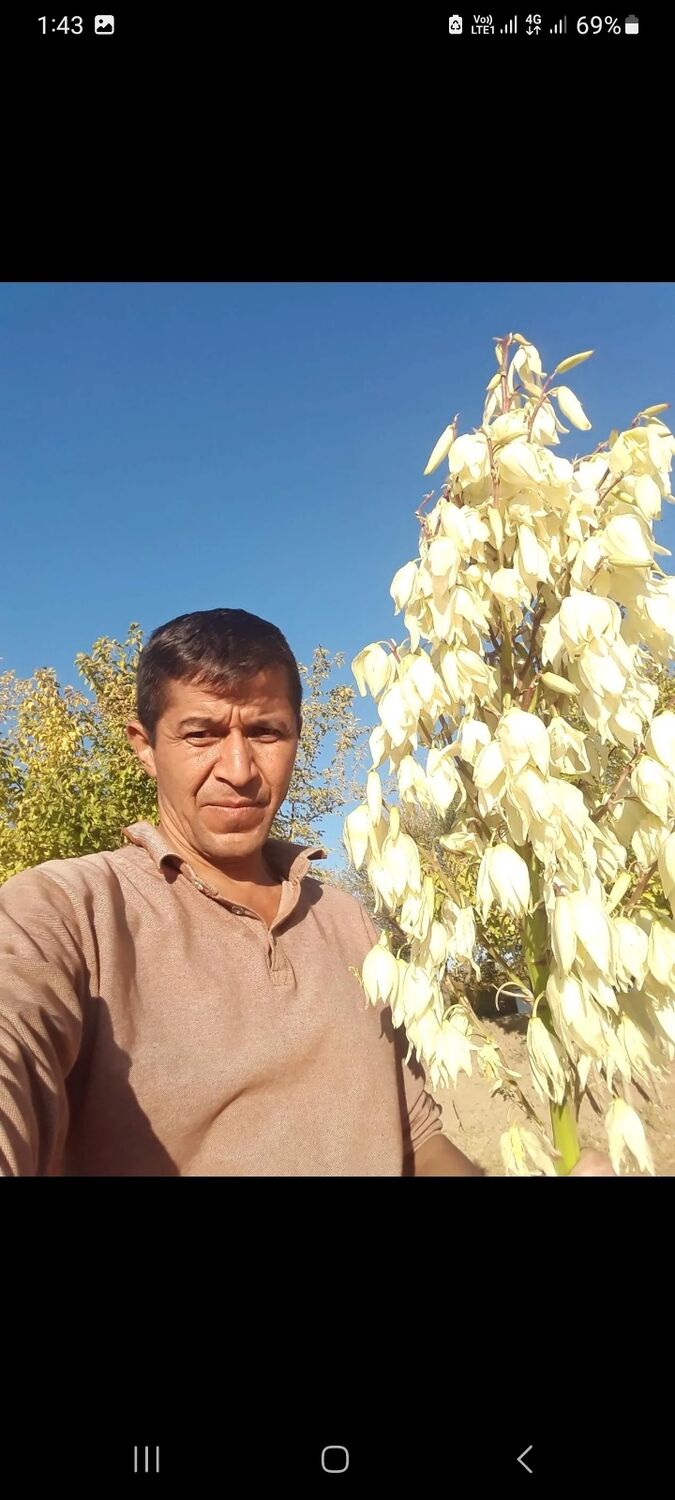 ���� 52377222 ������� ������, 48 ���, ���� ���������� � ������