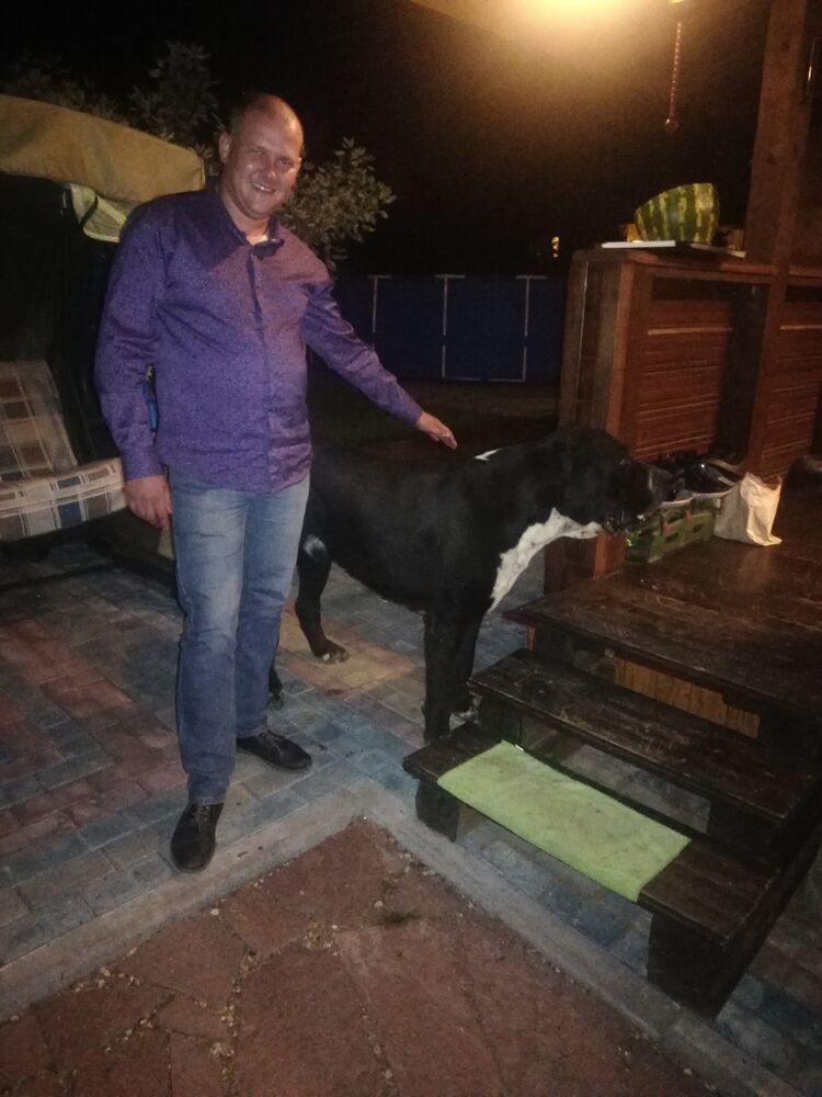 ���������� �������, ���� ������� �������, 39 ���, ������������ ��� ������, ����� � ���������, c�������� ���������