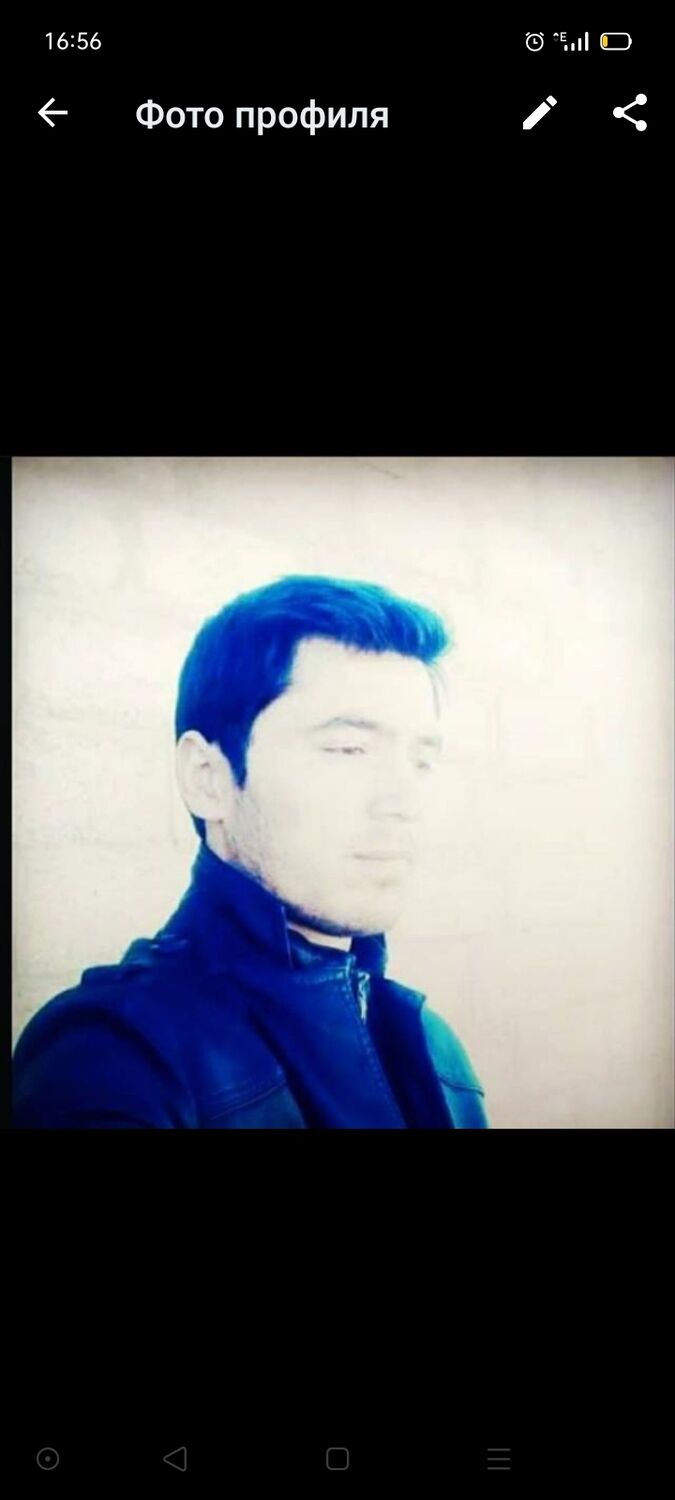 ���� 36075782 ������� ���, 31 ���, ���� ���������� � ������