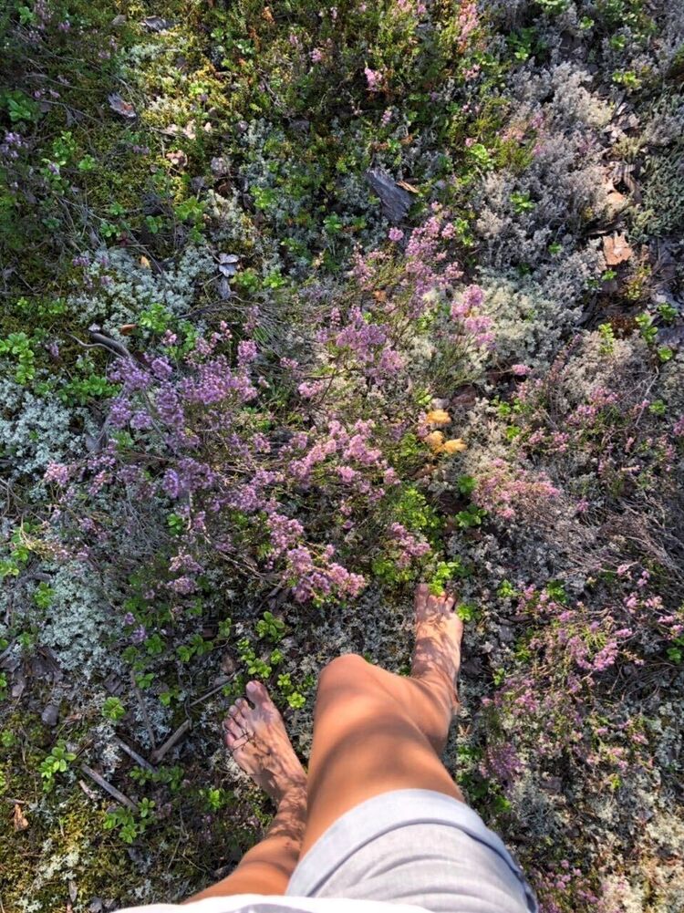 ���������� ������, ���� ������� Di, 35 ���, ������������ ��� ������, ����� � ���������, ���������