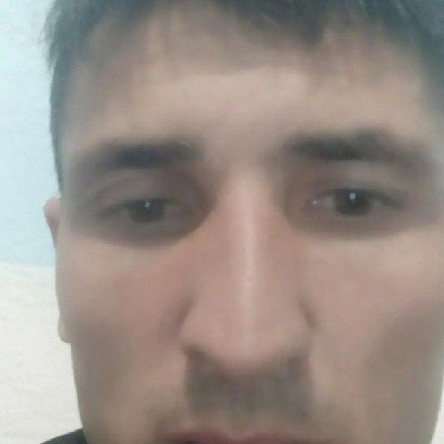  49384252  , 38 ,    