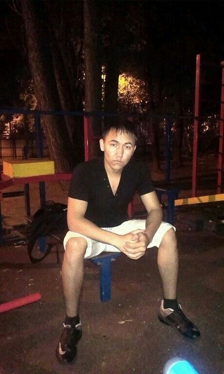 ���� 8801202 ������� Bobi, 32 ����, ���� ���������� � �������