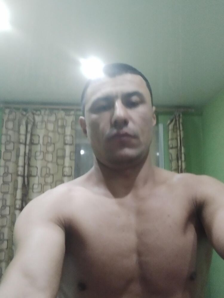  53029602  , 31 ,    -