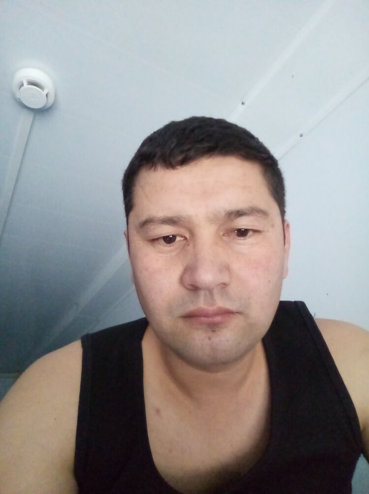 ���� 24937502 ������� ���, 36 ���, ���� ���������� � �����������