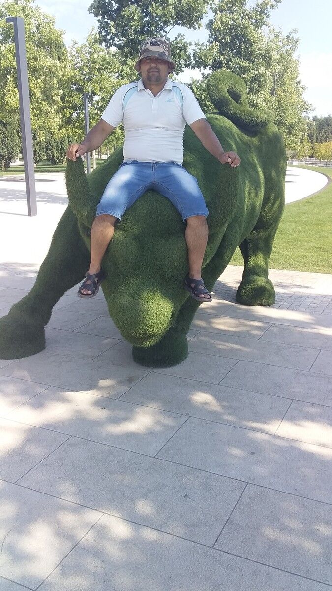 ���������� ���������, ���� ������� �����, 43 ����, ������������ ��� ������, ����� � ���������, c�������� ���������