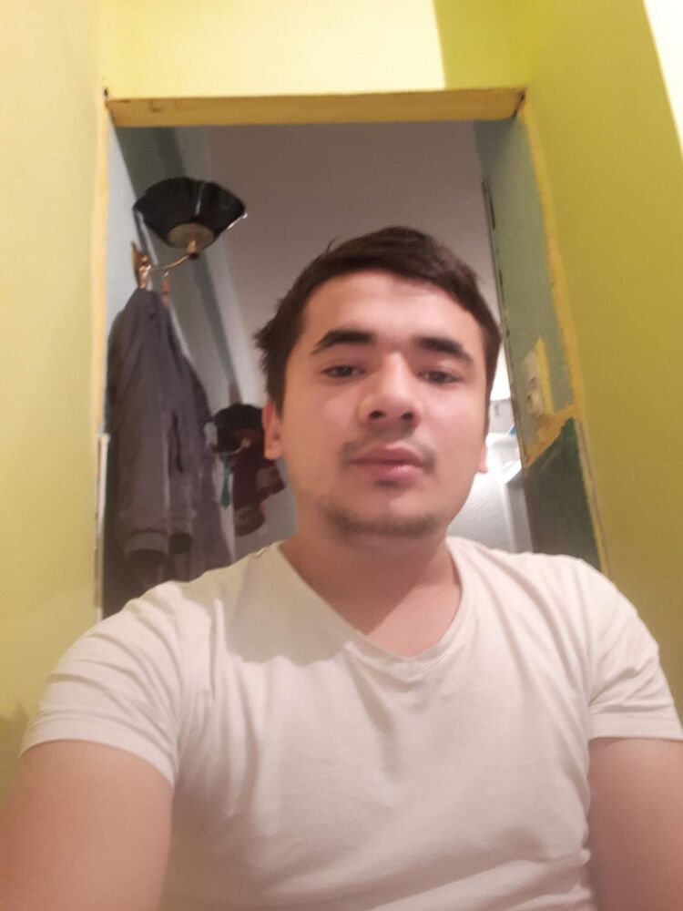  33638402  , 33 ,    