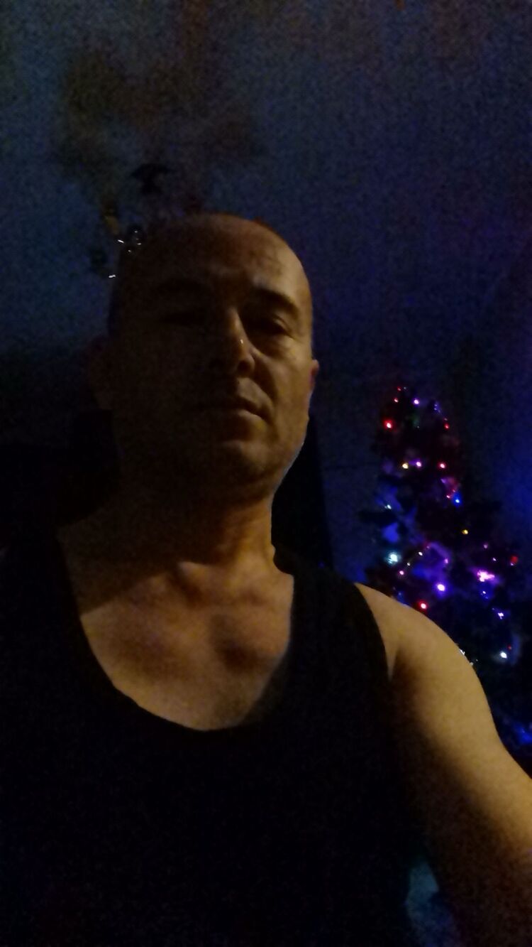 ���� 55031182 ������� ���������, 40 ���, ���� ���������� � ���������