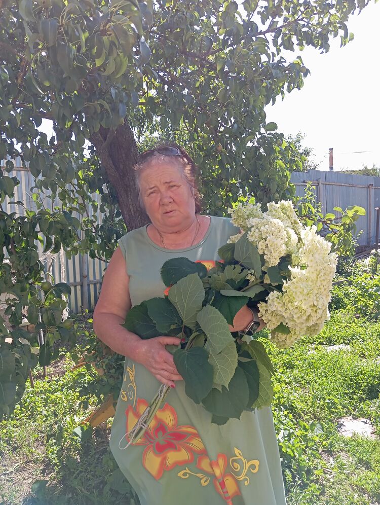 ���� 56080182 ������� �������, 65 ���, ���� ���������� � ���������