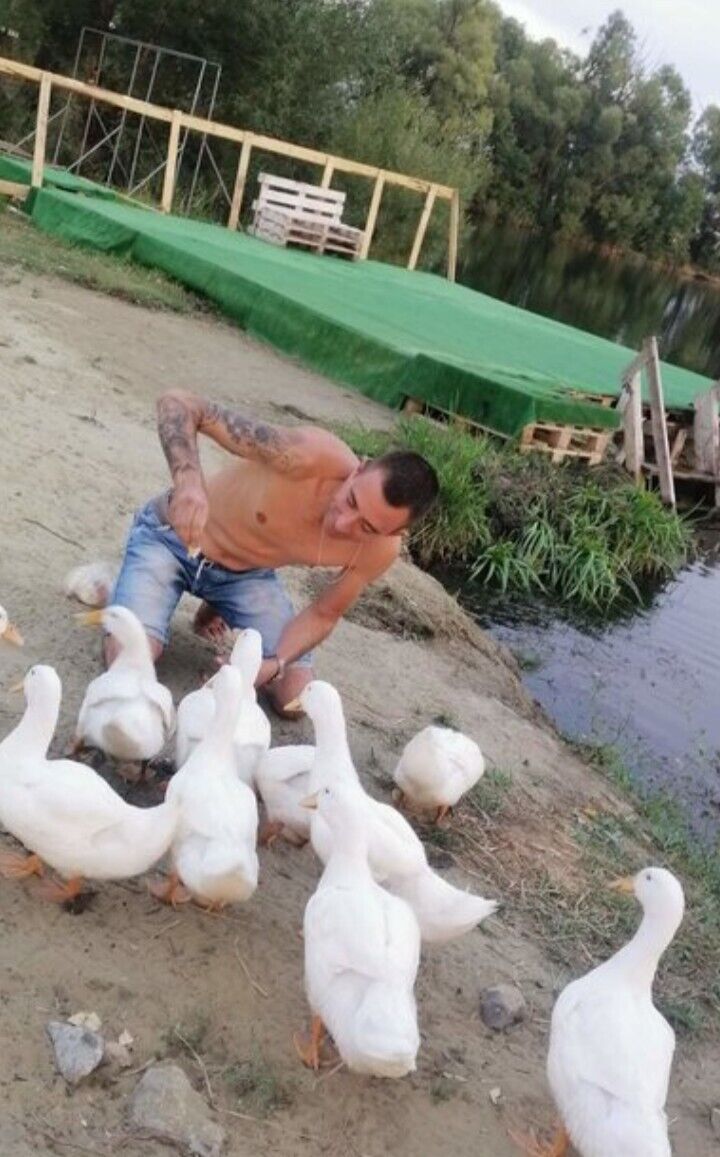 ���������� �����, ���� ������� �������, 47 ���, ������������ ��� ������, ����� � ���������, c�������� ���������, ���������