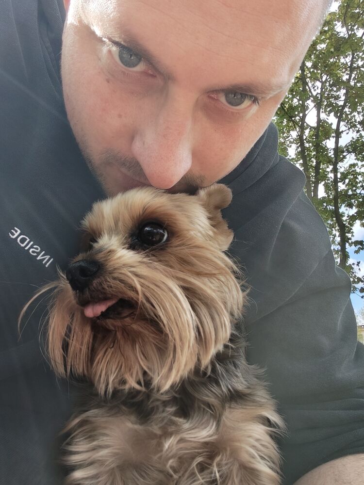 ���� 53433852 ������� ����, 36 ���, ���� ���������� � ������