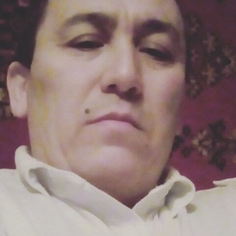  19015112  , 55 ,    