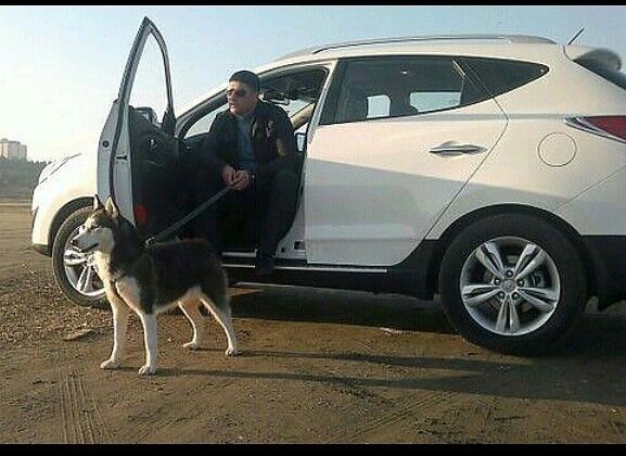 ���� 11061382 ������� Tamerlan, 37 ���, ���� ���������� � ����