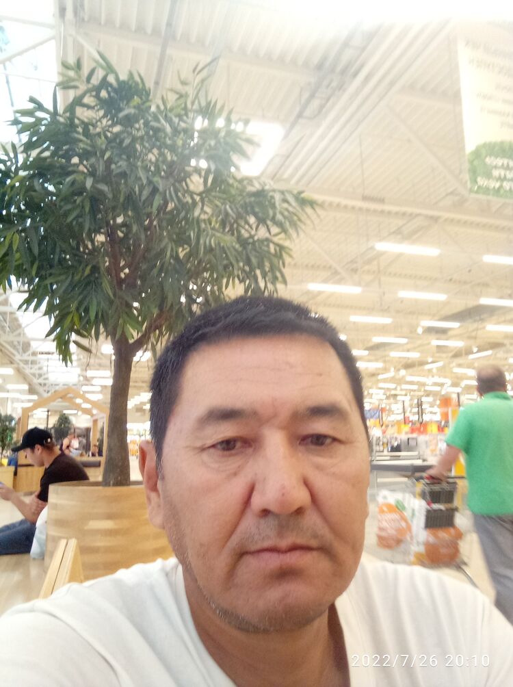  33606342  , 54 ,    