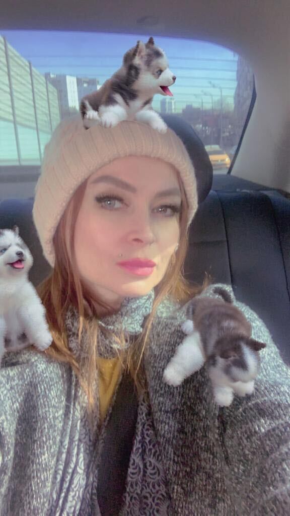 ���� 33503652 ������� ���, 50 ���, ���� ���������� � ������