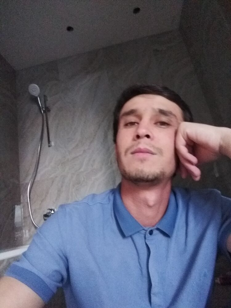 ���� 31388372 ������� �����, 33 ����, ���� ���������� � ������