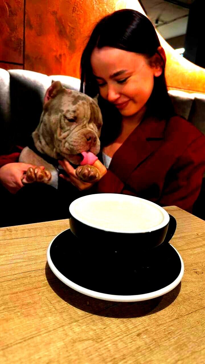 ���� 55756422 ������� ������, 29 ���, ���� ���������� � ���������