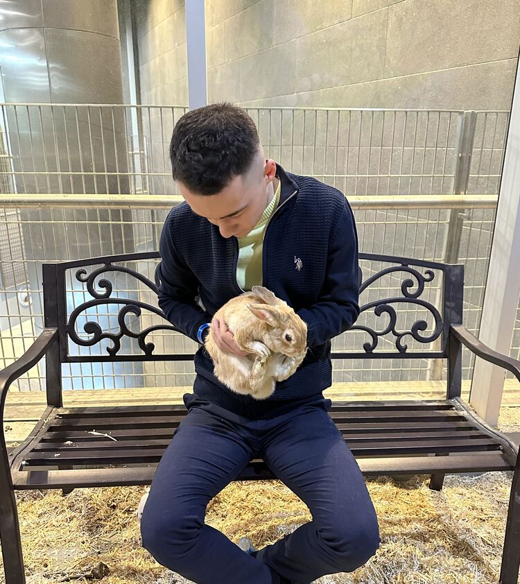 ���� 36439812 ������� �����, 29 ���, ���� ���������� � ������