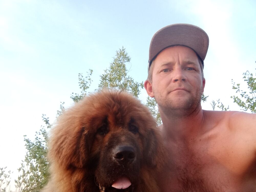 ���������� ������, ���� ������� ���������, 41 ���, ������������ ��� ������, ����� � ���������, c�������� ���������