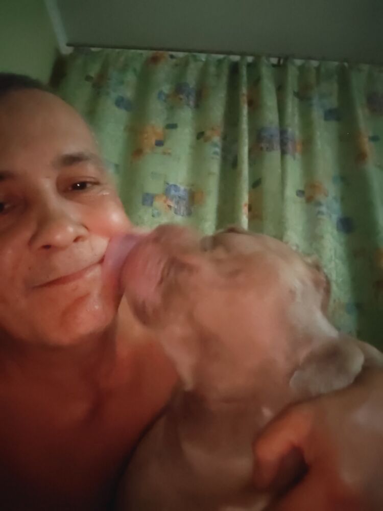  ,   , 49 ,   ,   