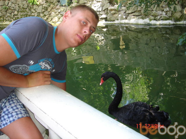 ���������� ��������, ���� ������� Zenuk, 38 ���, ������������ ��� ������, ����� � ���������, c�������� ���������