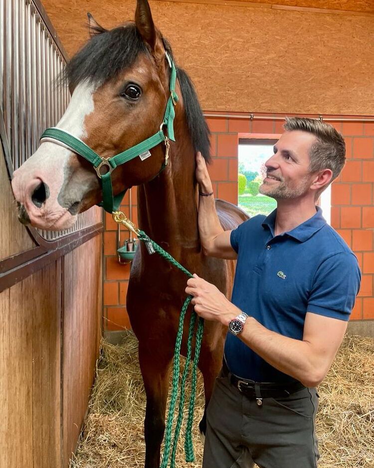 ���� 44470622 ������� ������, 41 ���, ���� ���������� � ������